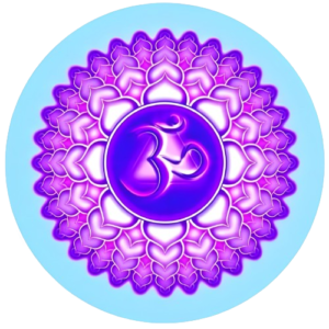 logo__1_-removebg-preview